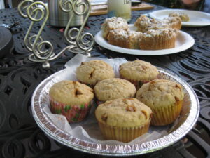 Oatmeal Cinnamon Muffins